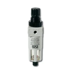 Filter met ontluchter en manometer, ¼", 10 micron, 12 bar